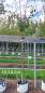 Preview: Sauerkirsche Safir
