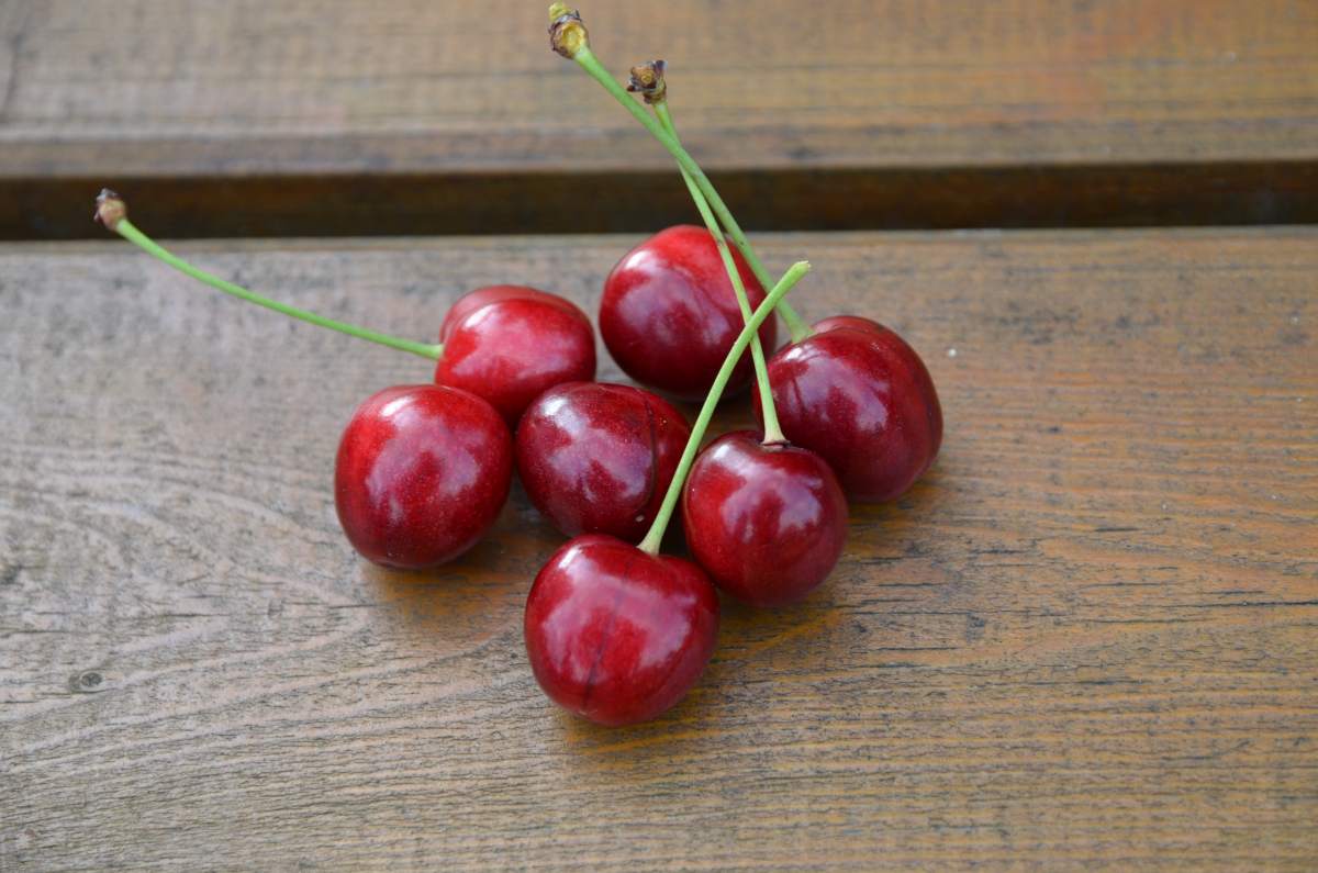 Süßkirsche: Early Rivers