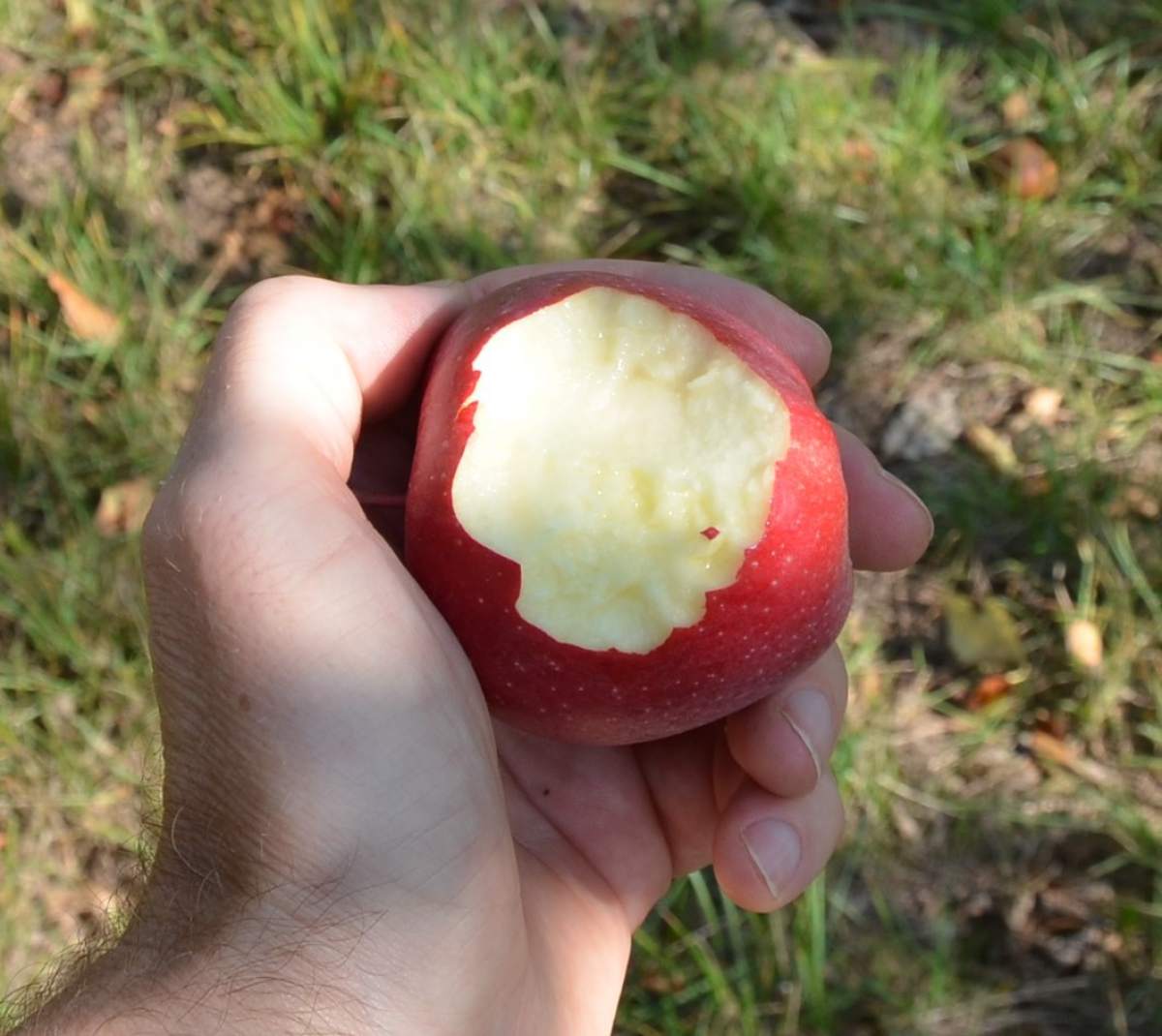 Apfel: Roter Topaz